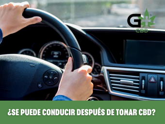 conducir-cbd