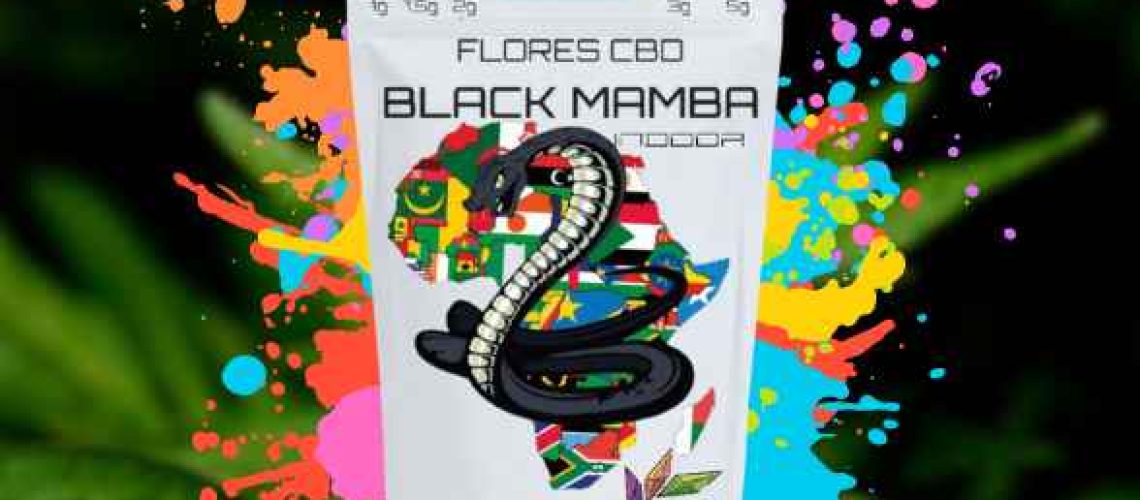 flor-mamba-black